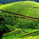 munnar