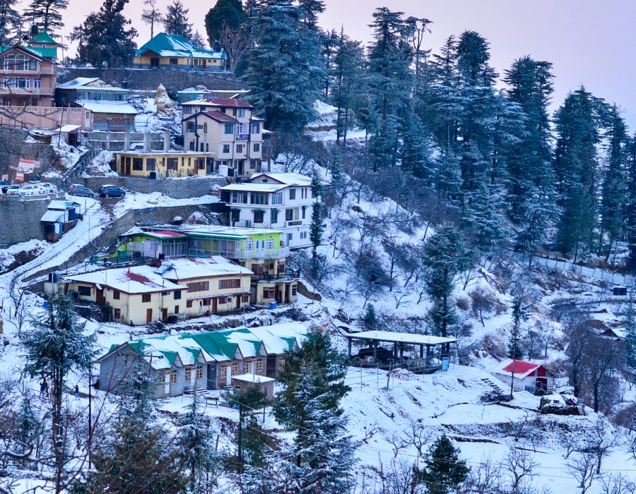 Shimla